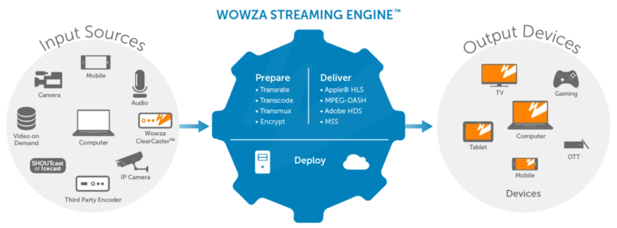 ビデオ配信プラットフォーム(Wowza Streaming Engine)