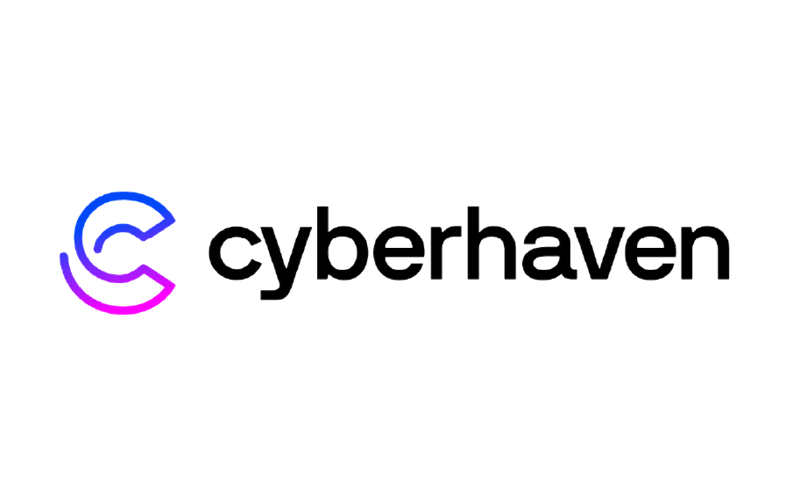 cyberhaven_logo_1000X600.png